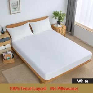 import placeholder for 13016723